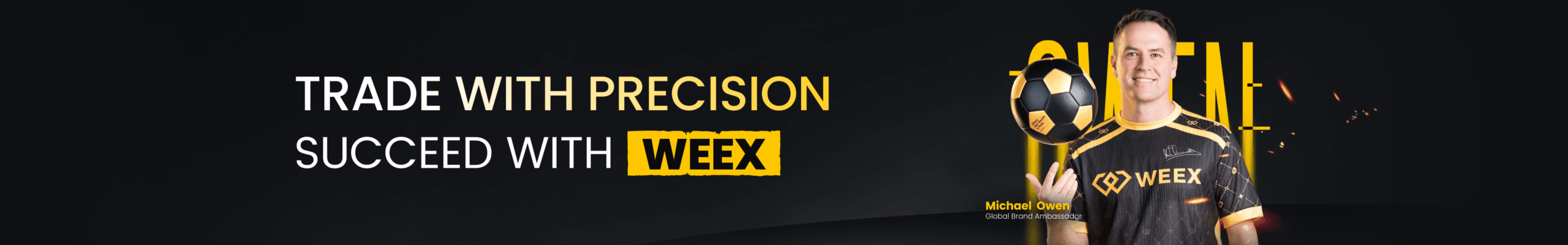 我们的合作伙伴徽标